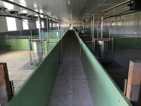 Neubau eines Maststalls