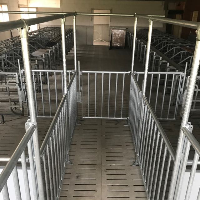 Absperrgitter / Verladung / Treibtüren
