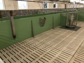 Neubau eines Maststalls