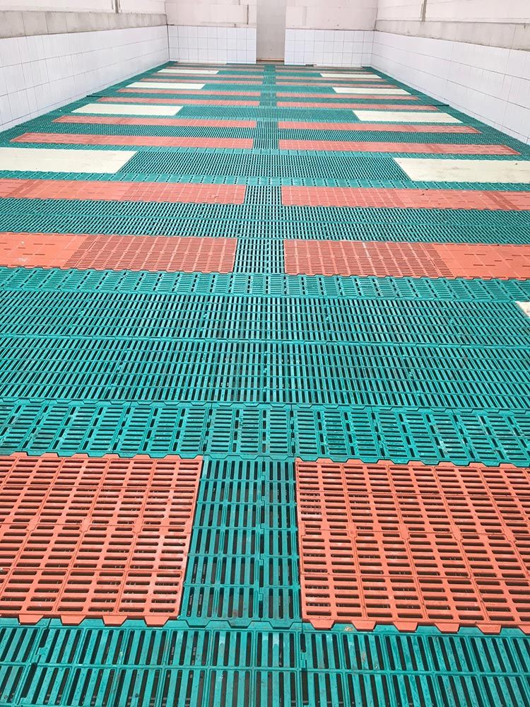 Neubau eines Sauenstalls