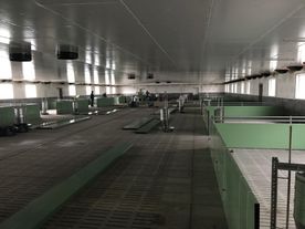 Neubau eines Maststalls