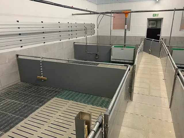 Stall
